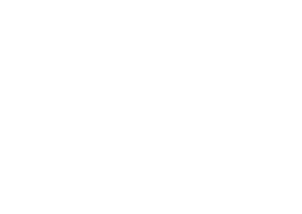 Gato Negro